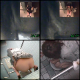 Japanese women, who had accidents, dump their soiled panties into a toilet, and clean themselves up. There are a few pooping bowlcam and panty pooping scenes as well as some peeing scenes. 511MB, MP4 file requires high-speed Internet.